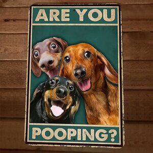 Are You Pooping Dachshund Dogs‎ 8x12 Metal Wall Sign